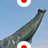 namikimiki